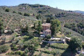 Villa Vestra in Vinci holiday home